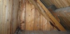 Attic Cleanup and Storage