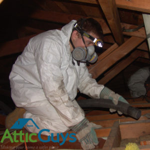 Attic Cleaning Service Tech